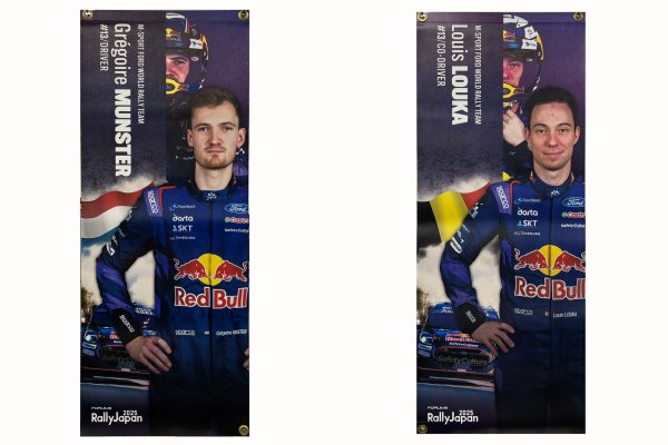 画像1: 【グレゴワール・ミュンスター/ルイ・ルーカ】　街路灯バナーフラッグ (1)