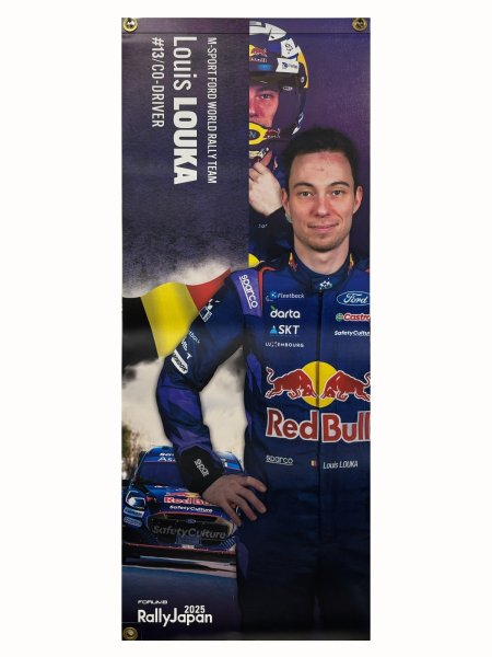 画像3: 【グレゴワール・ミュンスター/ルイ・ルーカ】　街路灯バナーフラッグ (3)