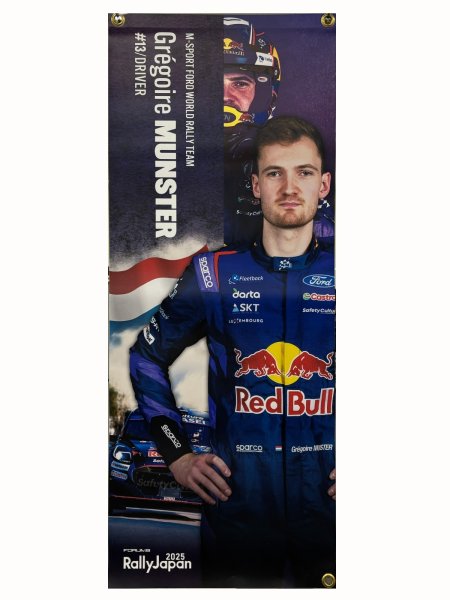 画像2: 【グレゴワール・ミュンスター/ルイ・ルーカ】　街路灯バナーフラッグ (2)