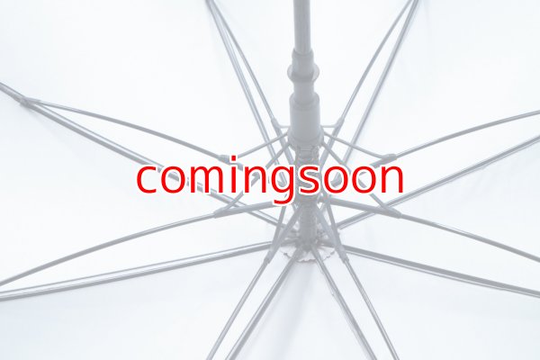 画像6: ラリージャパンアンブレラ (6)