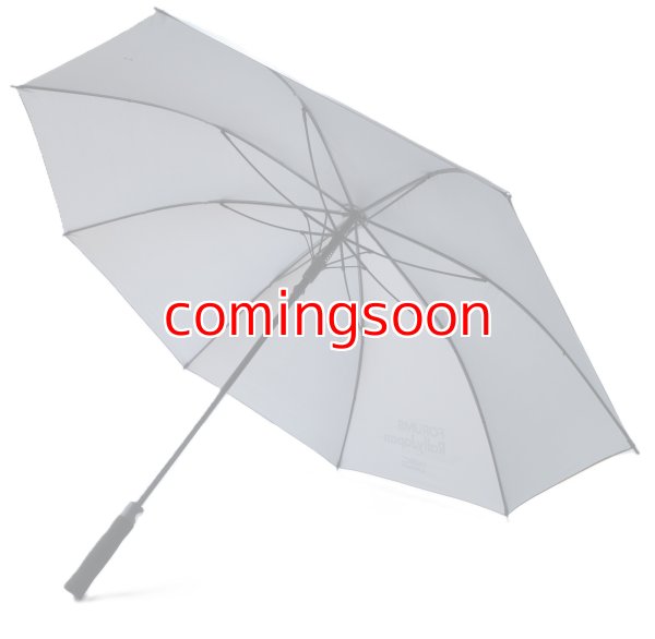 画像4: ラリージャパンアンブレラ (4)