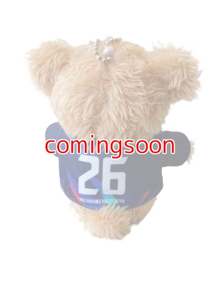 画像3: 26マスコットベア (3)